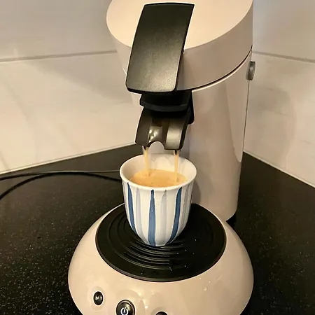 Penthouse With Panorama View And Great Location! *