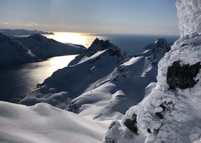 Apartamento Penthouse With Panorama View And Great Location!